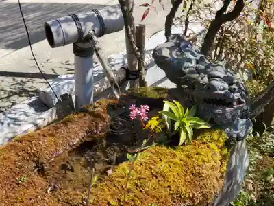 歓喜院のその他建物