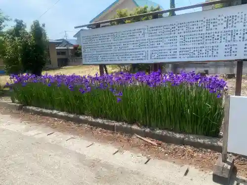 總宮神社の{uncategorized: "未分類", other: "その他", undefined: "問題あり", building: "その他建物", grave: "お墓", sacred_gate: "鳥居", guardian: "狛犬", statue: "像", buddha: "仏像", history: "歴史", nature: "自然", garden: "庭園", animal: "動物", pagoda: "塔", temizu: "手水舎", mountain_gate: "山門・神門", sanctuary: "本殿・本堂", subordinate: "末社・摂社", art: "芸術", scenery: "景色", jizo: "地蔵", ema: "絵馬", goshuin: "御朱印", omikuji: "おみくじ", items: "授与品その他", amulet: "お守り", goshuincho: "御朱印帳", eats: "食事", festival: "お祭り", votive_dance: "神楽", shichigosan: "七五三参", wedding: "結婚式", experience: "体験その他", initially: "初詣", around: "周辺", anti_infection: "感染症対策"}