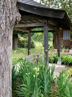 南泉寺の手水舎