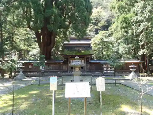 若狭姫神社（若狭彦神社下社）の本殿