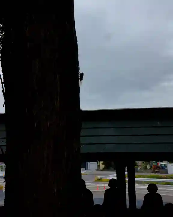 不動院(板橋不動尊)(茨城県)