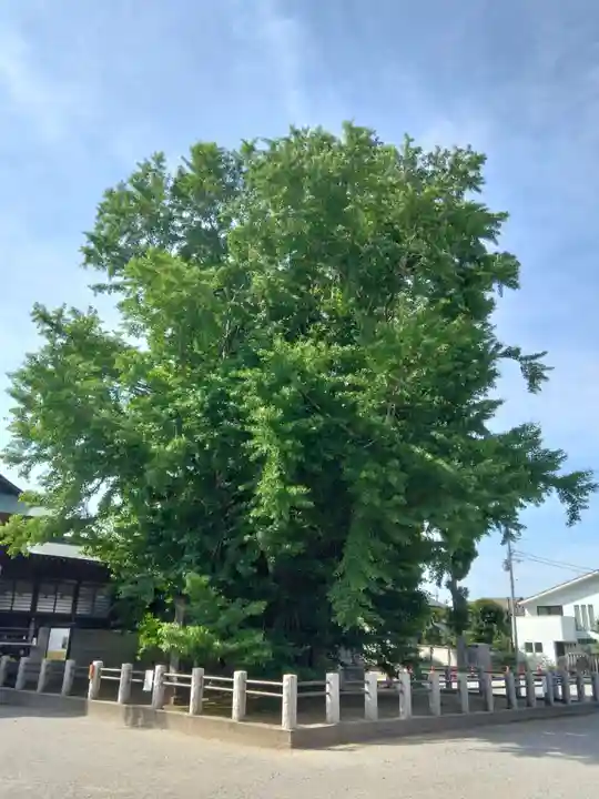 葛飾八幡宮(千葉県)