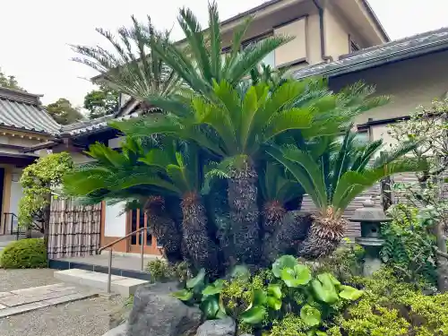 大運寺(神奈川県)