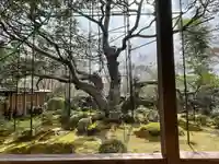 宝泉院の庭園
