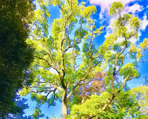 大鷲神社の自然