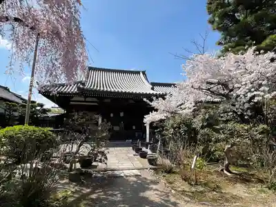 法金剛院(京都府)