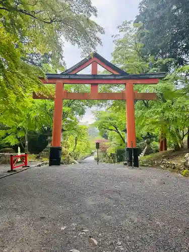 日吉大社の鳥居