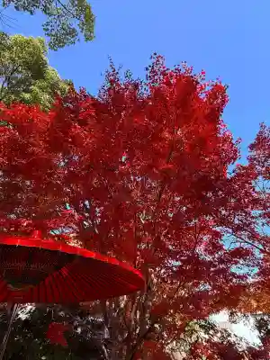 神戸水天宮(兵庫県)