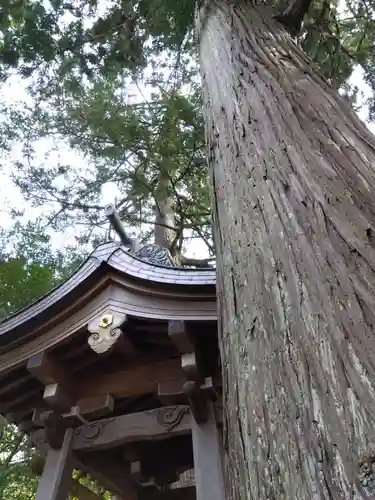 犁神社(福井県)