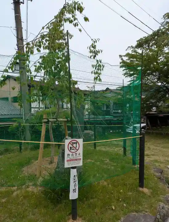 勝手神社(奈良県)