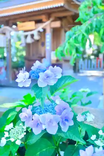 川越八幡宮(埼玉県)