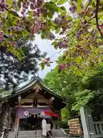 彌彦神社 (伊夜日子神社)(北海道)