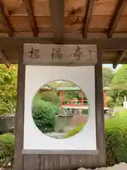 一乗院(身代不動尊) の庭園