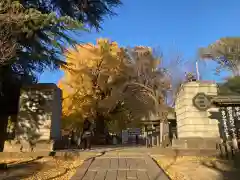 時宗総本山 遊行寺（正式：清浄光寺）(神奈川県)