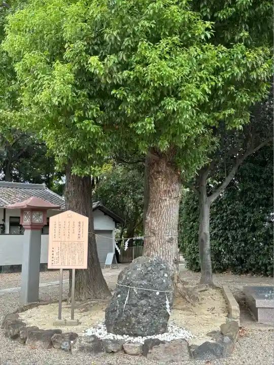 大阪護國神社(大阪府)