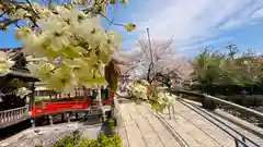 六孫王神社(京都府)