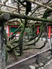 春日大社の庭園