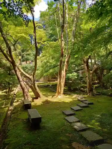 宗鏡寺の庭園