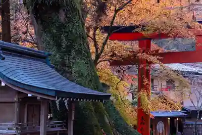 貴船神社(京都府)