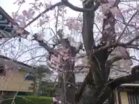 天暁山 一行院(東京都)