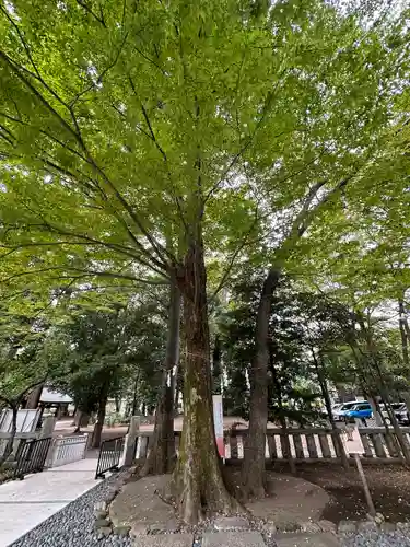 布多天神社(東京都)