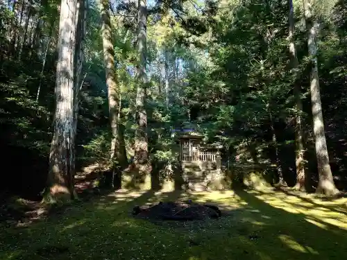 天津神社の{uncategorized: "未分類", other: "その他", undefined: "問題あり", building: "その他建物", grave: "お墓", sacred_gate: "鳥居", guardian: "狛犬", statue: "像", buddha: "仏像", history: "歴史", nature: "自然", garden: "庭園", animal: "動物", pagoda: "塔", temizu: "手水舎", mountain_gate: "山門・神門", sanctuary: "本殿・本堂", subordinate: "末社・摂社", art: "芸術", scenery: "景色", jizo: "地蔵", ema: "絵馬", goshuin: "御朱印", omikuji: "おみくじ", items: "授与品その他", amulet: "お守り", goshuincho: "御朱印帳", eats: "食事", festival: "お祭り", votive_dance: "神楽", shichigosan: "七五三参", wedding: "結婚式", experience: "体験その他", initially: "初詣", around: "周辺", anti_infection: "感染症対策"}