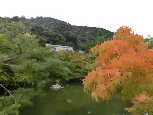 禅林寺（永観堂）の庭園