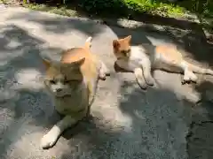 唐澤山神社の動物