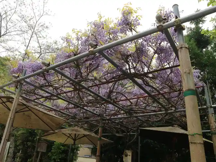 熊野若王子神社(京都府)