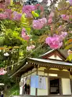 蚊里田八幡宮の{uncategorized: "未分類", other: "その他", undefined: "問題あり", building: "その他建物", grave: "お墓", sacred_gate: "鳥居", guardian: "狛犬", statue: "像", buddha: "仏像", history: "歴史", nature: "自然", garden: "庭園", animal: "動物", pagoda: "塔", temizu: "手水舎", mountain_gate: "山門・神門", sanctuary: "本殿・本堂", subordinate: "末社・摂社", art: "芸術", scenery: "景色", jizo: "地蔵", ema: "絵馬", goshuin: "御朱印", omikuji: "おみくじ", items: "授与品その他", amulet: "お守り", goshuincho: "御朱印帳", eats: "食事", festival: "お祭り", votive_dance: "神楽", shichigosan: "七五三参", wedding: "結婚式", experience: "体験その他", initially: "初詣", around: "周辺", anti_infection: "感染症対策"}