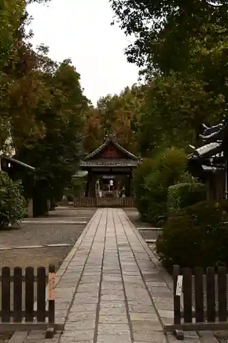 木嶋坐天照御魂神社(京都府)