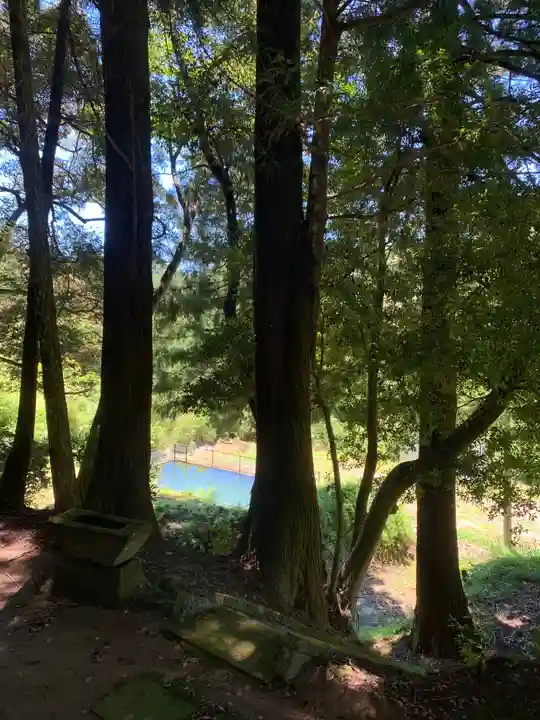 虚空蔵菩薩の自然