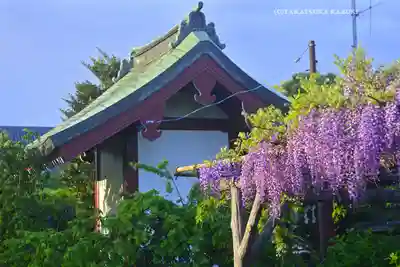 亀戸天神社(東京都)