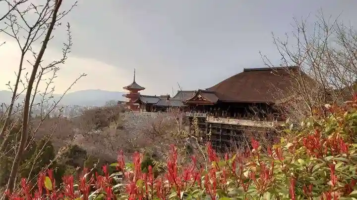 清水寺(京都府)