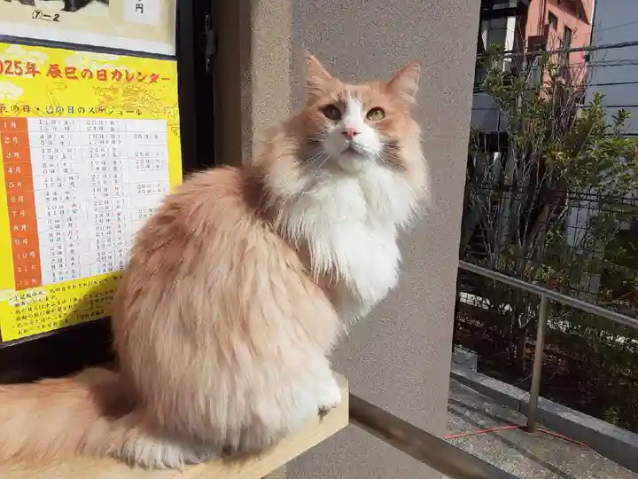 駒込妙義神社(東京都)