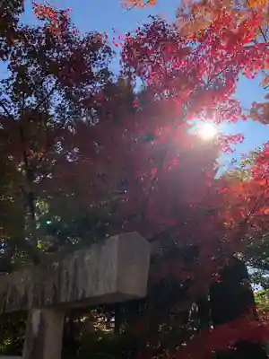 四柱神社(長野県)