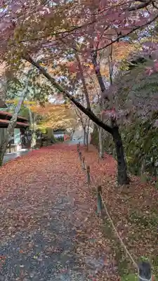 三千院門跡(京都府)