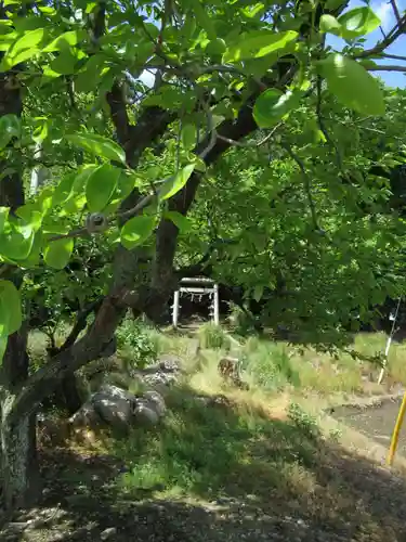 大日霊貴社(茨城県)