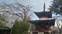 東南院(奈良県)