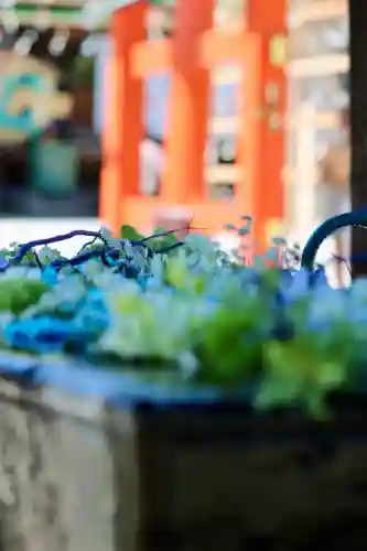 箭弓稲荷神社の{uncategorized: "未分類", other: "その他", undefined: "問題あり", building: "その他建物", grave: "お墓", sacred_gate: "鳥居", guardian: "狛犬", statue: "像", buddha: "仏像", history: "歴史", nature: "自然", garden: "庭園", animal: "動物", pagoda: "塔", temizu: "手水舎", mountain_gate: "山門・神門", sanctuary: "本殿・本堂", subordinate: "末社・摂社", art: "芸術", scenery: "景色", jizo: "地蔵", ema: "絵馬", goshuin: "御朱印", omikuji: "おみくじ", items: "授与品その他", amulet: "お守り", goshuincho: "御朱印帳", eats: "食事", festival: "お祭り", votive_dance: "神楽", shichigosan: "七五三参", wedding: "結婚式", experience: "体験その他", initially: "初詣", around: "周辺", anti_infection: "感染症対策"}