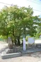 八幡宮(山口県)