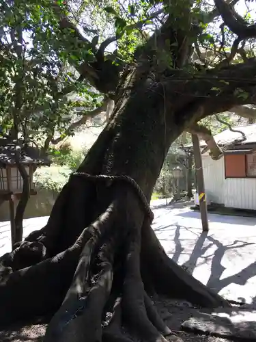 八大龍王水神の自然