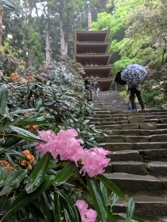 室生寺の{uncategorized: "未分類", other: "その他", undefined: "問題あり", building: "その他建物", grave: "お墓", sacred_gate: "鳥居", guardian: "狛犬", statue: "像", buddha: "仏像", history: "歴史", nature: "自然", garden: "庭園", animal: "動物", pagoda: "塔", temizu: "手水舎", mountain_gate: "山門・神門", sanctuary: "本殿・本堂", subordinate: "末社・摂社", art: "芸術", scenery: "景色", jizo: "地蔵", ema: "絵馬", goshuin: "御朱印", omikuji: "おみくじ", items: "授与品その他", amulet: "お守り", goshuincho: "御朱印帳", eats: "食事", festival: "お祭り", votive_dance: "神楽", shichigosan: "七五三参", wedding: "結婚式", experience: "体験その他", initially: "初詣", around: "周辺", anti_infection: "感染症対策"}