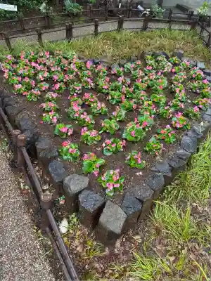 川越八幡宮(埼玉県)