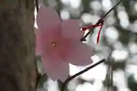 滑川神社 - 仕事と子どもの守り神のおみくじ