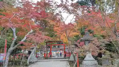 大原野神社(京都府)