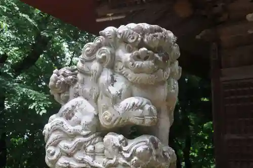 隠津島神社の狛犬