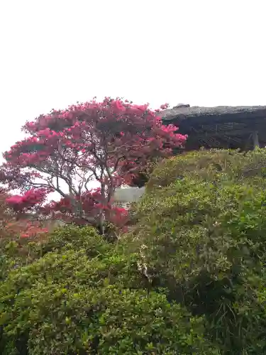 國鉾神社の庭園