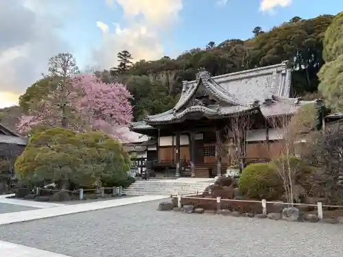 修禅寺の{uncategorized: "未分類", other: "その他", undefined: "問題あり", building: "その他建物", grave: "お墓", sacred_gate: "鳥居", guardian: "狛犬", statue: "像", buddha: "仏像", history: "歴史", nature: "自然", garden: "庭園", animal: "動物", pagoda: "塔", temizu: "手水舎", mountain_gate: "山門・神門", sanctuary: "本殿・本堂", subordinate: "末社・摂社", art: "芸術", scenery: "景色", jizo: "地蔵", ema: "絵馬", goshuin: "御朱印", omikuji: "おみくじ", items: "授与品その他", amulet: "お守り", goshuincho: "御朱印帳", eats: "食事", festival: "お祭り", votive_dance: "神楽", shichigosan: "七五三参", wedding: "結婚式", experience: "体験その他", initially: "初詣", around: "周辺", anti_infection: "感染症対策"}