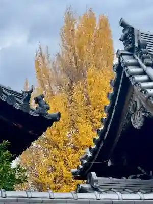 慧光寺(京都府)